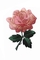 패치 머로드 경계 사용자 지정 색상 위의 4 &quot; 분홍·로즈 과장 철